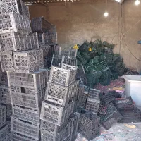 ضایعات سبد و سپر