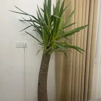 آپارتمان فروشی