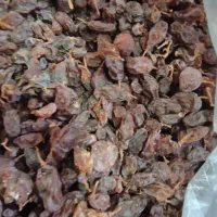 مویز آفتاب خشک|خوردنی و آشامیدنی|کوار, |دیوار