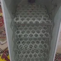 دستگاه جوجه کشی سالم آماده کار