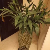 بامبو حصیری مصنوعی
