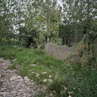 170-متر-زمین-باغی-گیلان-رشت-سنگر