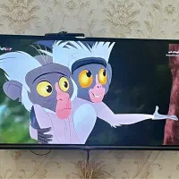 تلوزیون ۴۳ اینچ