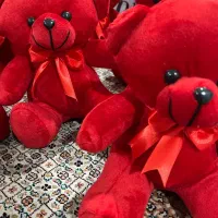 عروسک خرسی یا Teddy bear