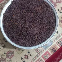 کشمش افتابی شیرین امسالی|خوردنی و آشامیدنی|یزد, |دیوار