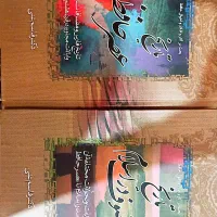 کتاب دو جلدی تاریخ تصوف در اسلام، تاریخ عصر حافظ