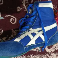 کفش کشتی مارک پلاتین