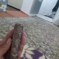 مهر عتیقه