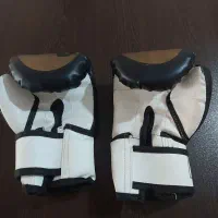 وسایل ورزشی.دستکش،وپاکش،وبیضه بند|تجهیزات ورزشی|شیراز, کوشک میدان|دیوار