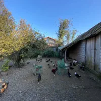 ویلا سنتی پر از آرامش در لولمان آستانه اشرفیه|فروش خانه و ویلا|آستانه اشرفیه, |دیوار