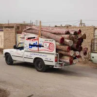 استخدام راننده قالیشویی