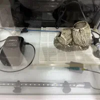 آکواریوم شیشه خم با تمام تجهیزات|ماهی|کردکوی, |دیوار