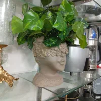 درختچه‌های مصنوعی|گل مصنوعی|تهران, جوادیه|دیوار