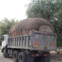 کاه فله نیشکر باگاس مخصوص گاو و گوسفند..