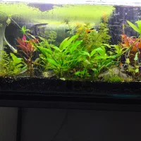 اکواریوم بزرگ