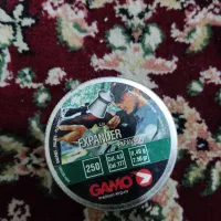 ساچمه تیر بادی|کوهنوردی و کمپینگ|تهران, دستغیب|دیوار