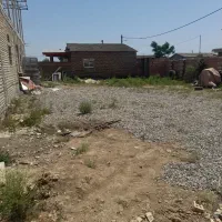 سالن مرغ تخمی و گوشتی با تجهیزات کامل کارشناسی|اجارهٔ دفتر صنعتی، کشاورزی، تجاری|آق قلا, |دیوار