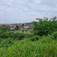 فروش زمین ۱۰۰۰ متری در املش