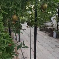 750-متر-باغ-با-بنای-دلنشین
