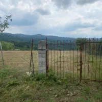 فروش زمین کشاورزی در روستای سیف کتی