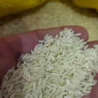 برنج هاشمی درشت و نیم دانه