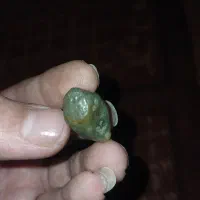 زوعه مار مصور|جواهرات|اهواز, کمپلو جنوبی|دیوار