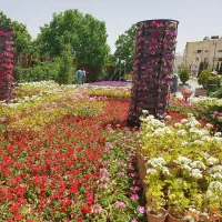 اردوهای با کیفیت واقتصادی