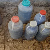 خیار شور تازه و ترد دبه های ۱۲ کیلویی|خوردنی و آشامیدنی|نیشابور, مازول|دیوار