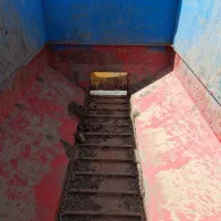 کودپاش دامی برای ۳۹۹و۴۷۵و۲۸۵|قطعات یدکی و لوازم جانبی|چناران, |دیوار