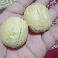 گردوبادام انجیرتوت سنجد رب انار هورامان درجه ۱