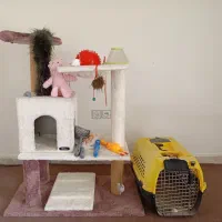 لوازم نگهداری حیوانات خانگی ( گربه )|لوازم جانبی حیوانات|تهران, قیطریه|دیوار