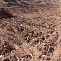 کارگر ساده