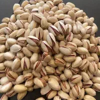 فروش باغ پسته