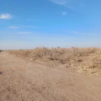 نیازمند کارگر باغی