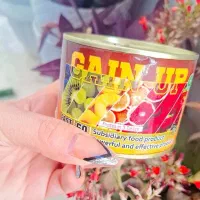 سویق میوهای افزایش اشتهابرای افرادلاغرخداشاهده اصل|خوردنی و آشامیدنی|مرودشت, تامین اجتماعی‎|دیوار
