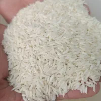برنج هاشمی درجه یک