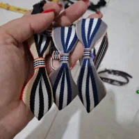 وسایل مورد نیاز فرشته هاتون زیر قیمت|لوازم جانبی حیوانات|رشت, کاکتوس|دیوار