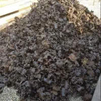 خرید فروش بس