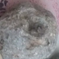 سنگ باستانی|کلکسیون اشیاء عتیقه|رفسنجان, |دیوار