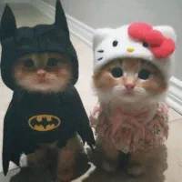 کمک کد تخفیف