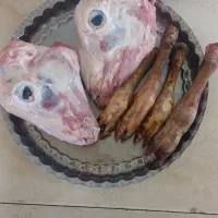 کله و پاچه پاک شده بره|خوردنی و آشامیدنی|گرمی, |دیوار