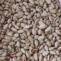 پسته اکبری مشهد