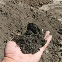 خاک باغچه گل باغچه