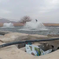 سه دانگ مزرعه ی موتوراب پردرآمد