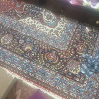 ۲ عدد قالی ۱۲متری|فرش|دزفول, |دیوار