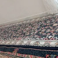 کنار بیم سورمه ای