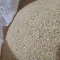 برنج و نیم دانه کامفیروزی درجه یک|خوردنی و آشامیدنی|شیراز, قلعه شاهزاده بیگم|دیوار