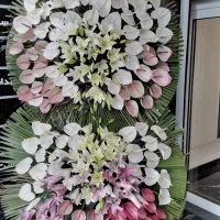 تاج گل|گل و گیاه طبیعی|تهران, جنت‌آباد جنوبی|دیوار