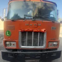 ماک بی دماغ