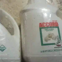 سم آکورد سالن قارچ